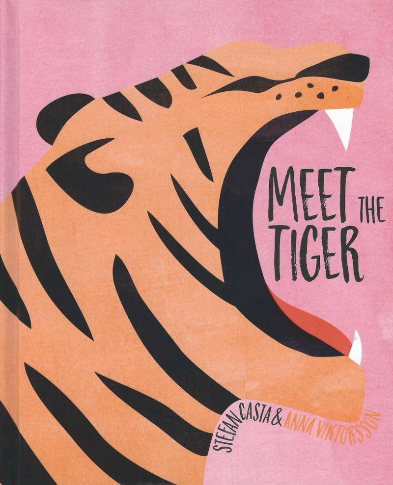 Stefan Casta: Meet the Tiger (Second - Hand) - Tales for Tadpoles