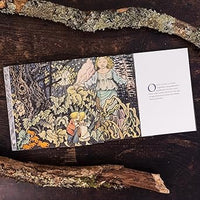 Stephen King: Hansel and Gretel, illustrated by Maurice Sendak - Tales for Tadpoles