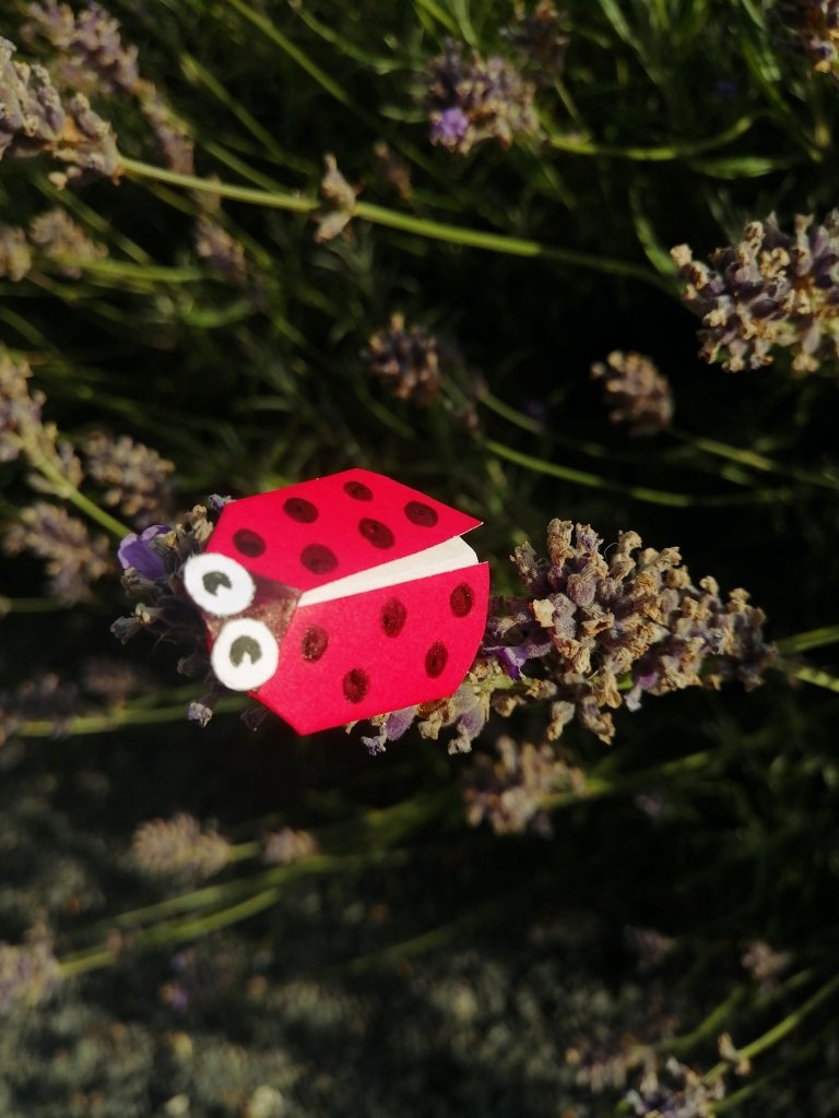 Sunday 16th August 11.30am: Origami Garden with Ruth Keating - Tales for Tadpoles