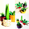 Sunday 21st Sept 1.30pm: Origami Cactus Plants with Ruth Keating - Tales for Tadpoles