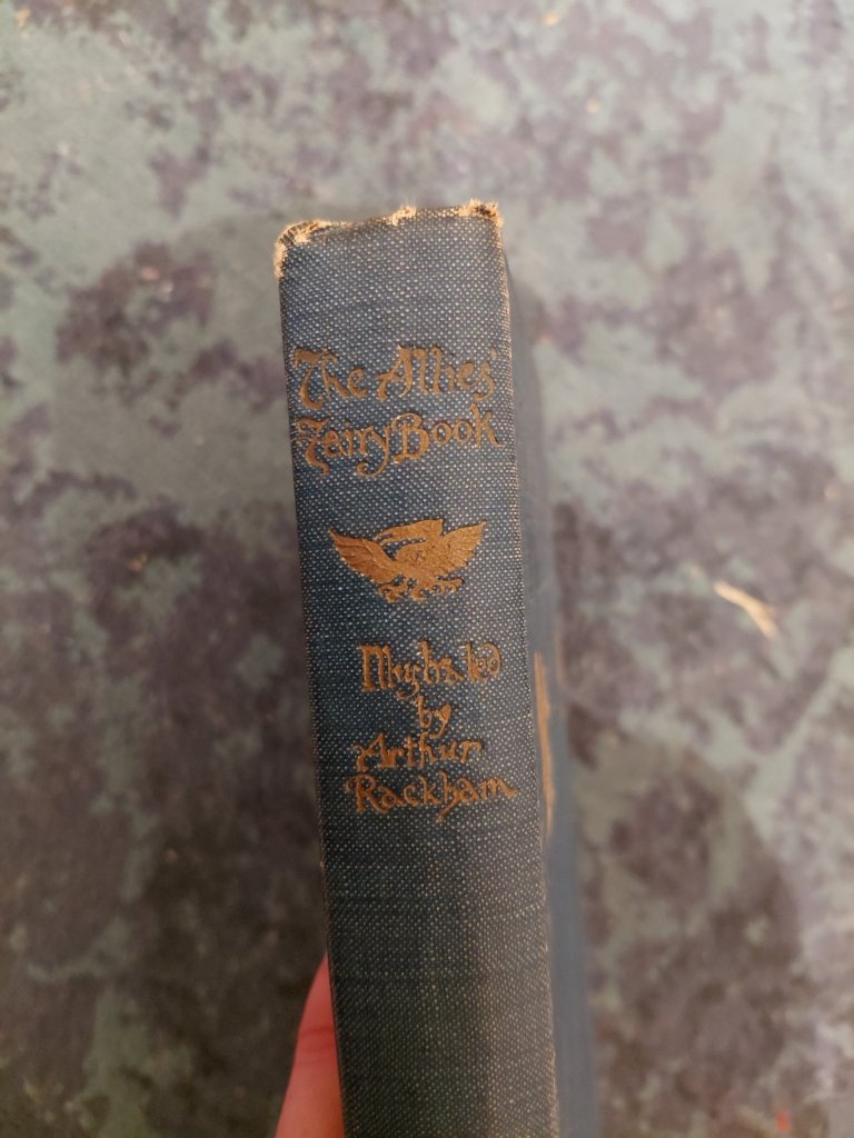 The Allies Fairy Book, illustrated by Arthur Rackham - Tales for Tadpoles