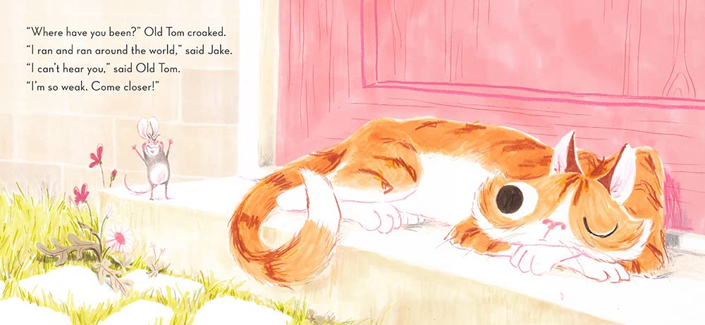 Timothy Knapman: Can't Catch Me!, Illustrated by Simona Ciraolo - Tales for Tadpoles