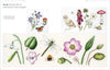 Trish Burr: Nature Embroidery Transfers - Tales for Tadpoles