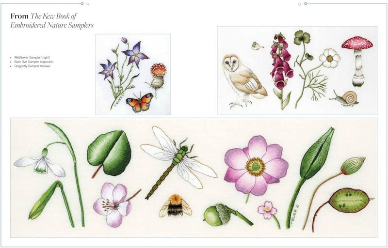 Trish Burr: Nature Embroidery Transfers - Tales for Tadpoles