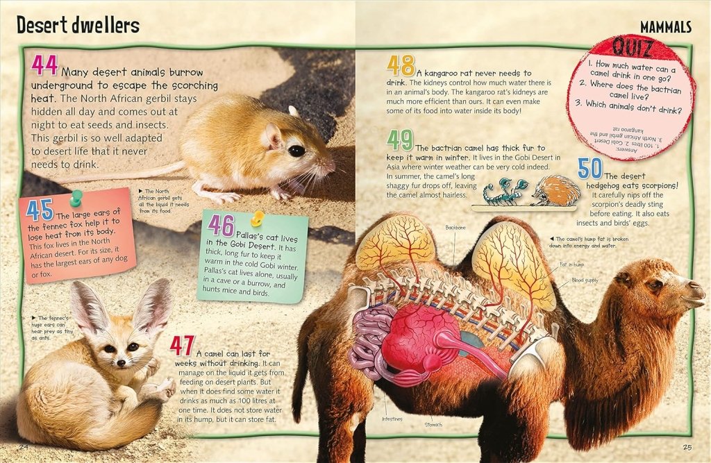 Various: Wild About Animals - Tales for Tadpoles