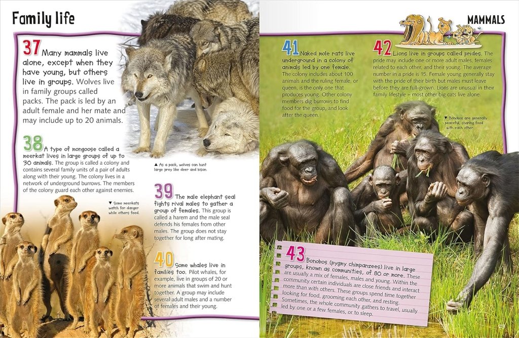 Various: Wild About Animals - Tales for Tadpoles