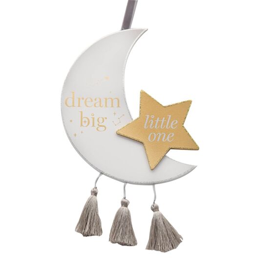 Wall Hanging: Moon 'Dream Big Little One' - Tales for Tadpoles