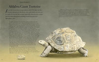 William Spring: Beautiful - Tales for Tadpoles