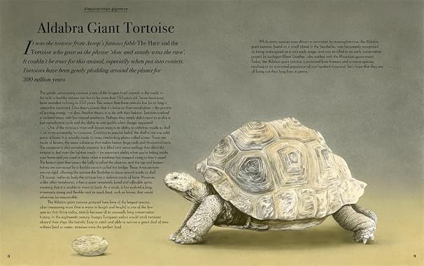 William Spring: Beautiful - Tales for Tadpoles