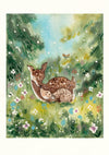 Wonderbox: New Baby - Exclusive Print by Lauren O'Hara Plus Books and Other Gifts - Tales for Tadpoles