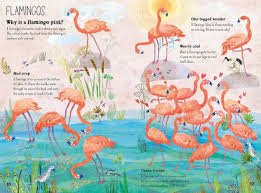 Yuval Zommer: The Big Book of Birds - Tales for Tadpoles