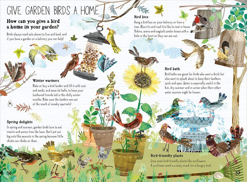 Yuval Zommer: The Big Book of Birds - Tales for Tadpoles