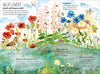 Yuval Zommer: The Big Book of Blooms - Tales for Tadpoles