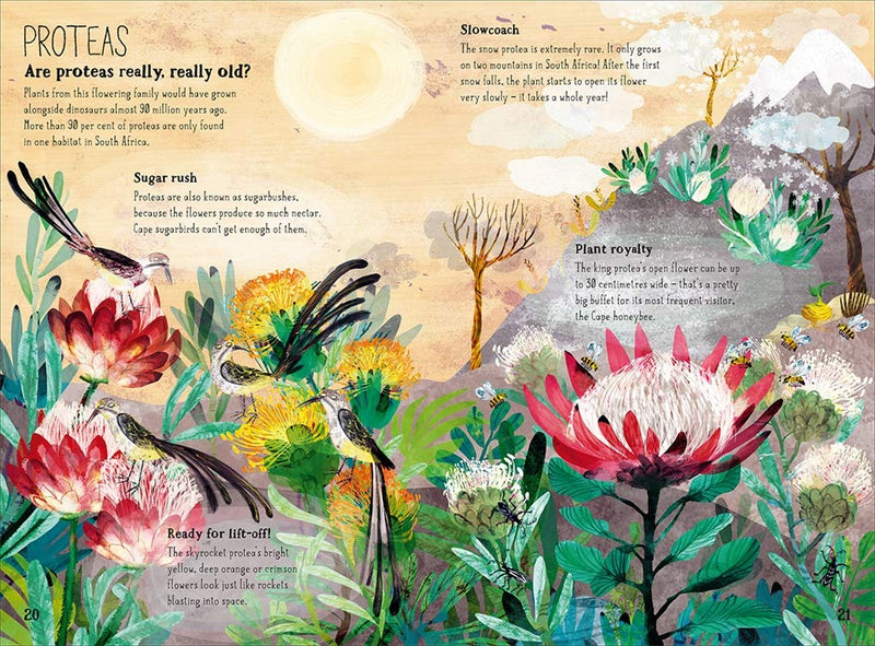 Yuval Zommer: The Big Book of Blooms - Tales for Tadpoles