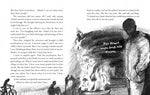 When Shadows Fall by Sita Brahmachari, illustrated by Natalie Sirett