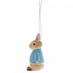 Peter Rabbit Hanging Decoration