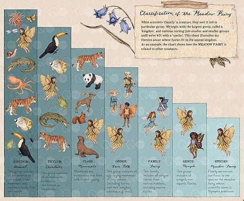 A Natural History of Fairies by Emily Hawkins, illustrated by Jessica Roux