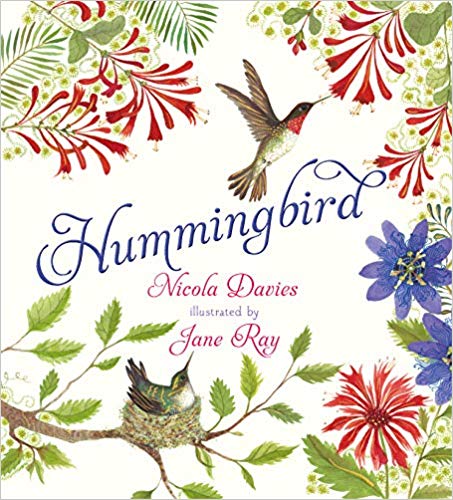 Hummingbird by Nicola Davies, illustrated by Jane Ray