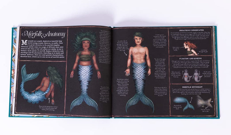 A Natural History of Mermaids by Emily Hawkins, illustrated by Jessica Roux