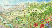 Hummingbird by Nicola Davies, illustrated by Jane Ray