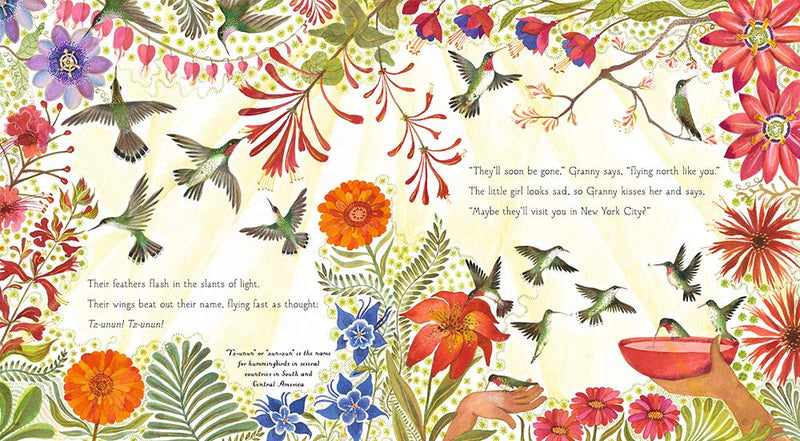 Hummingbird by Nicola Davies, illustrated by Jane Ray