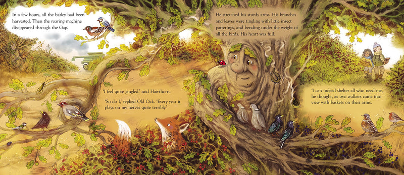 Elena Mannion: The Happy Hedgerow, illustrated by Erin Brown