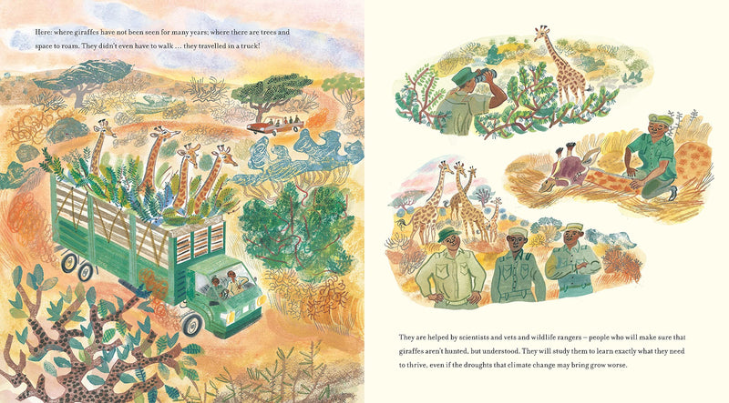 Nicola Davies: The Season of Giraffes, illustrated by Emily Sutton