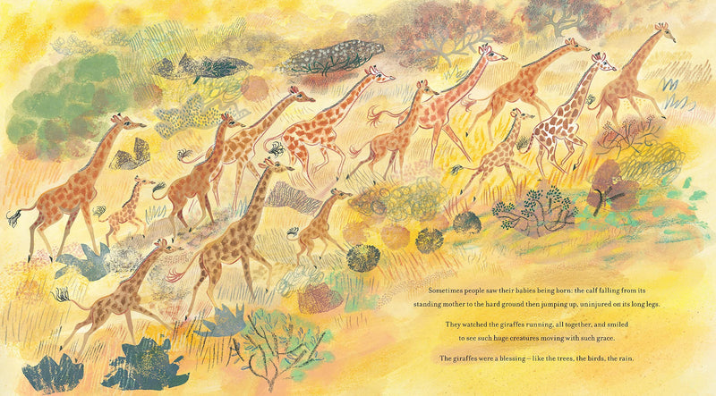 Nicola Davies: The Season of Giraffes, illustrated by Emily Sutton