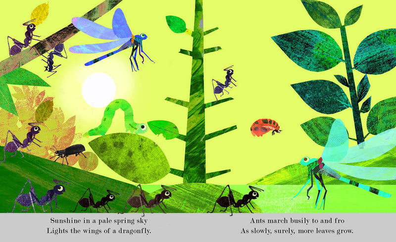 Bugs by Patricia Hegarty, illustrated by Britta Teckentrup