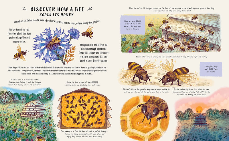  Slow Down and Be Here Now by Laura Brand, illustrated by Freya Hartas