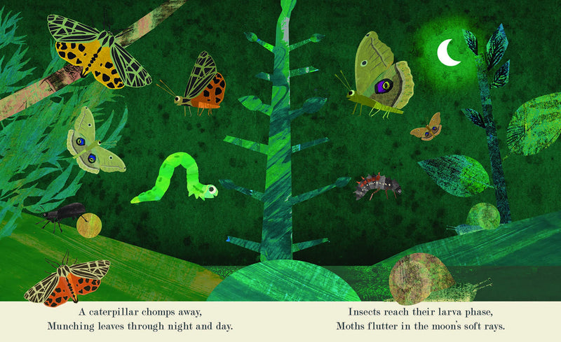 Bugs by Patricia Hegarty, illustrated by Britta Teckentrup