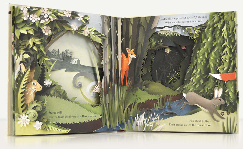Louise Greig: A Walk Through the Woods, illustrated by Helen Musselwhite