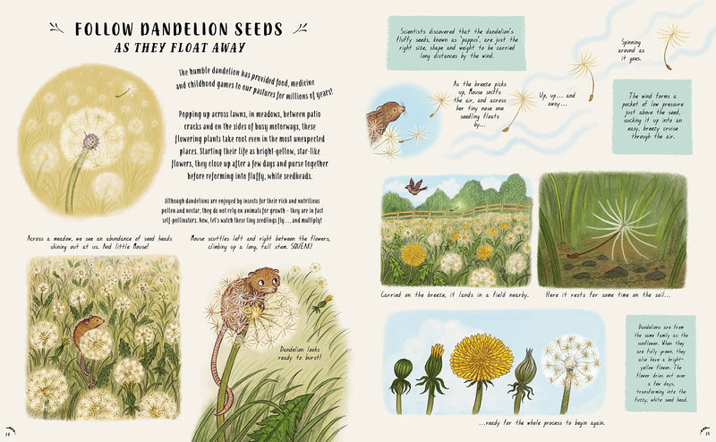  Slow Down and Be Here Now by Laura Brand, illustrated by Freya Hartas