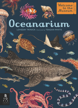 Oceanarium by Loveday Trinick, illustrated by Teagan White