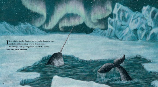 Narwhal - The Arctic Unicorn by Justin Anderson, illustrated by Jo Weaver
