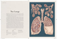 Anatomicum by Jennifer Z Paxton, illustrated by Katy Wiedemann