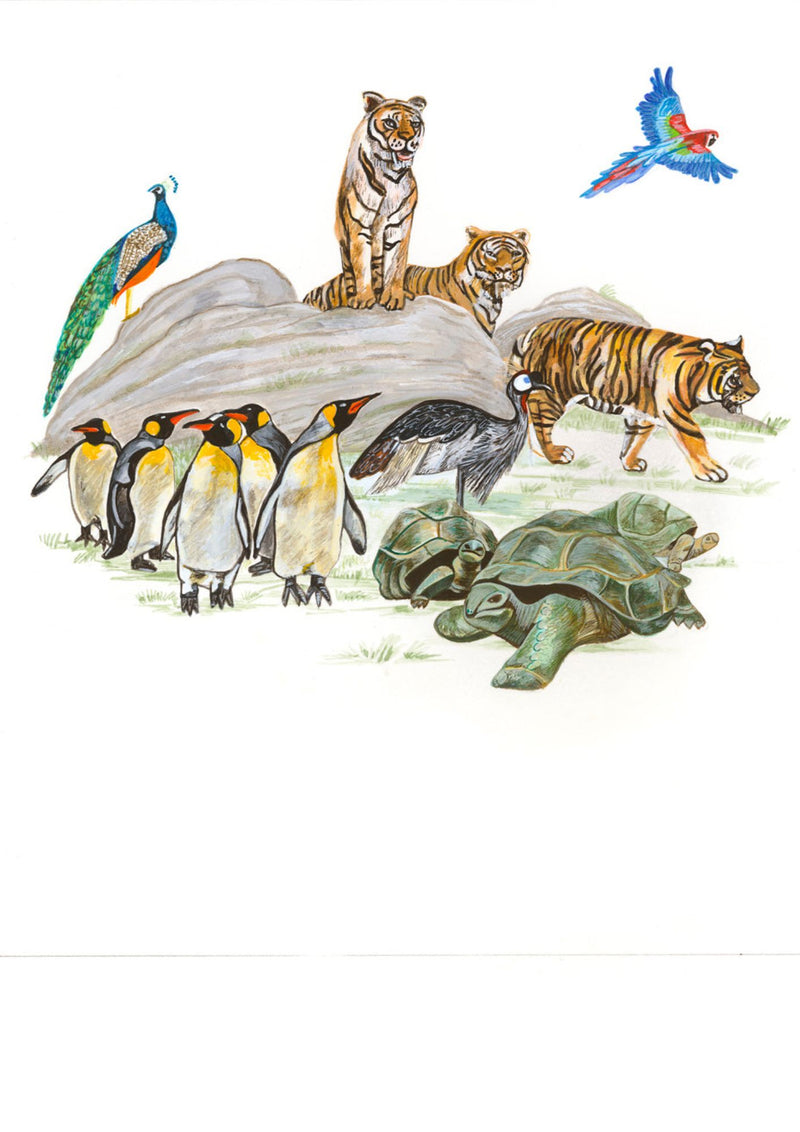 Nessa Ryan Greeting Card