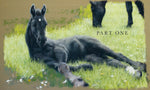 Black Beauty by Anna Sewell, illustrated by Christian Birmingham