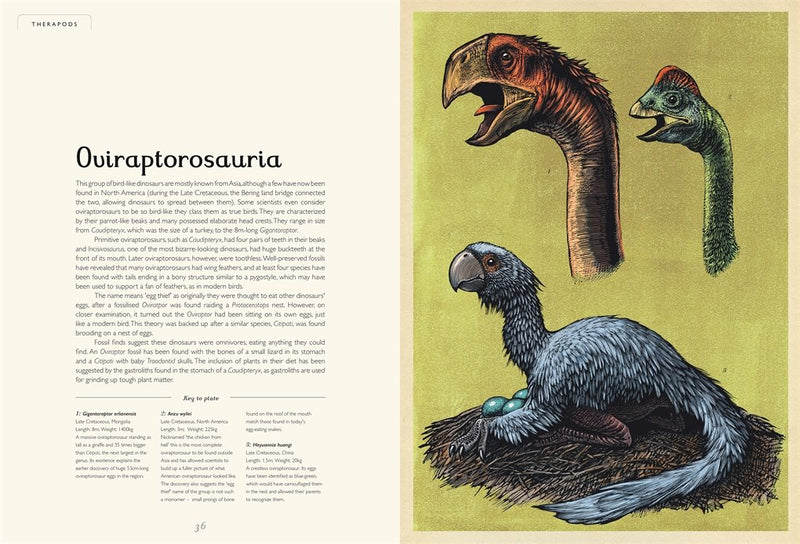 Lily Murray: Dinosaurium, illustrated by Chris Wormell