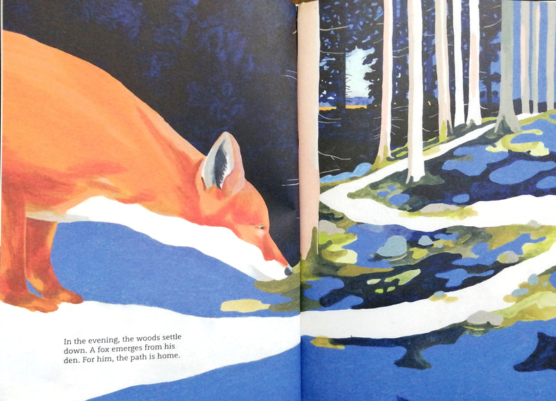 The Path - A Story About Finding Your Way by Reif Larsen, illustrated by Marine Schneider