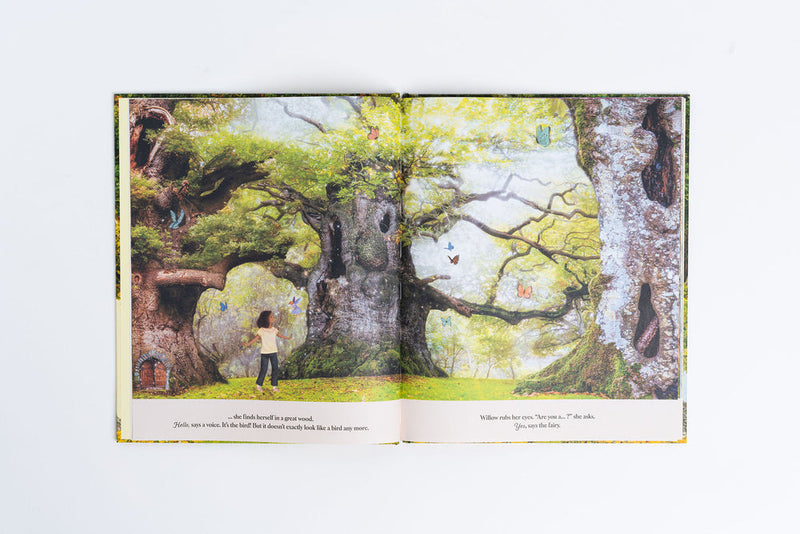 Through the Fairy Door by Gabby Dawnay, illustrated by Lars van de Goor and Giulia Tomai