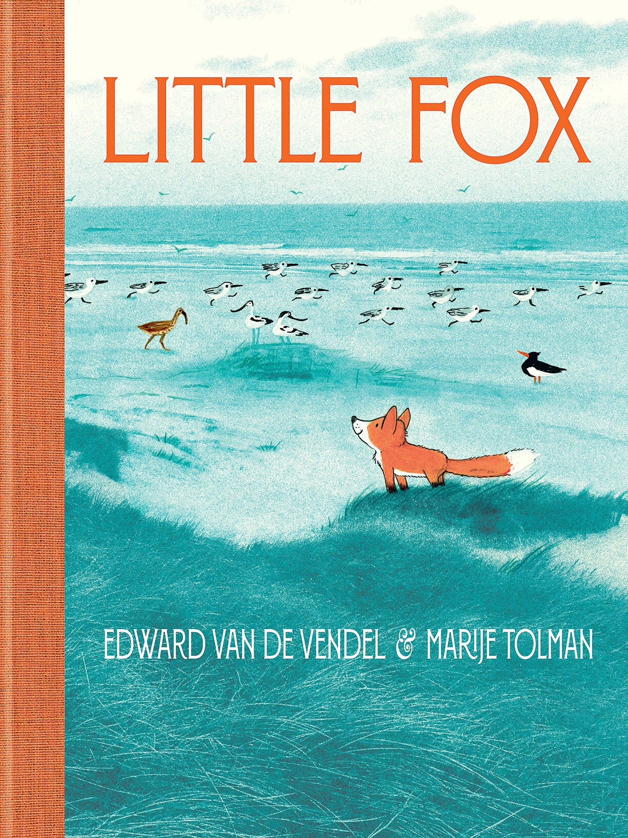 Little Fox by Edward Van De Vendel, illustrated by Marije Tolman
