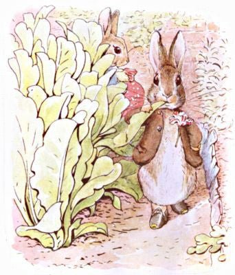 Beatrix Potter: The Tale of Benjamin Bunny - Tales for Tadpoles