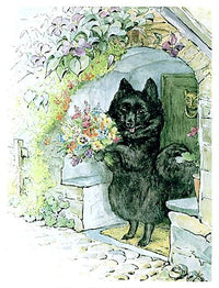 Beatrix Potter: The Tale of the Pie and the Patty - Pan (Second - Hand) - Tales for Tadpoles