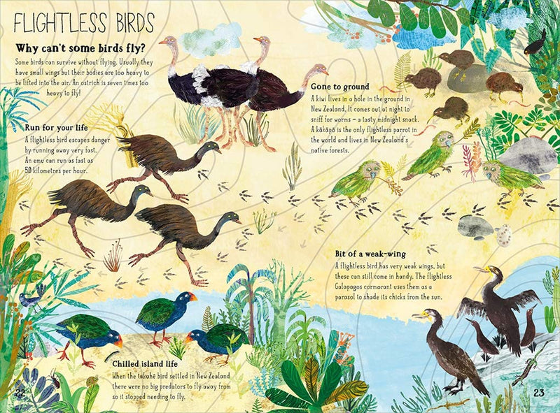 The Big Book Of Birds by Yuval Zommer