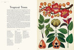 Jenny Broom: Botanicum, illustrated by Katie Scott