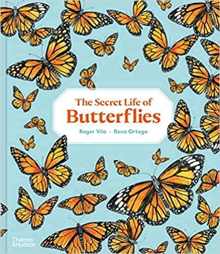 The Secret Life of Butterflies by Roger Vila, illustrated by Rena Ortega