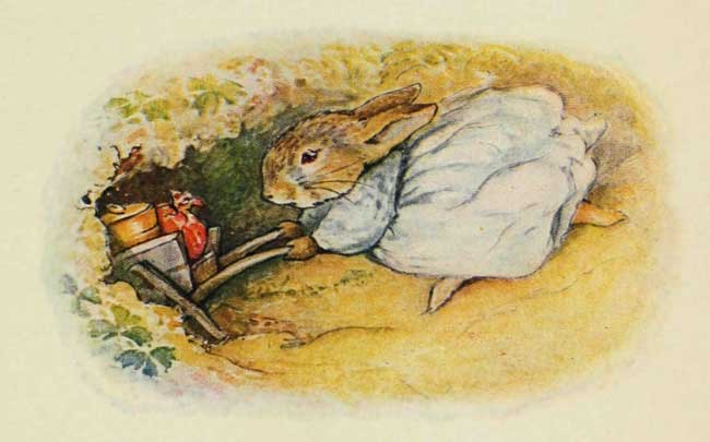 Cecily Parsley's Nursery Rhymes by Beatrix Potter