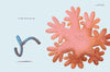 Christian Borstlap: This Thing Called Life - Tales for Tadpoles