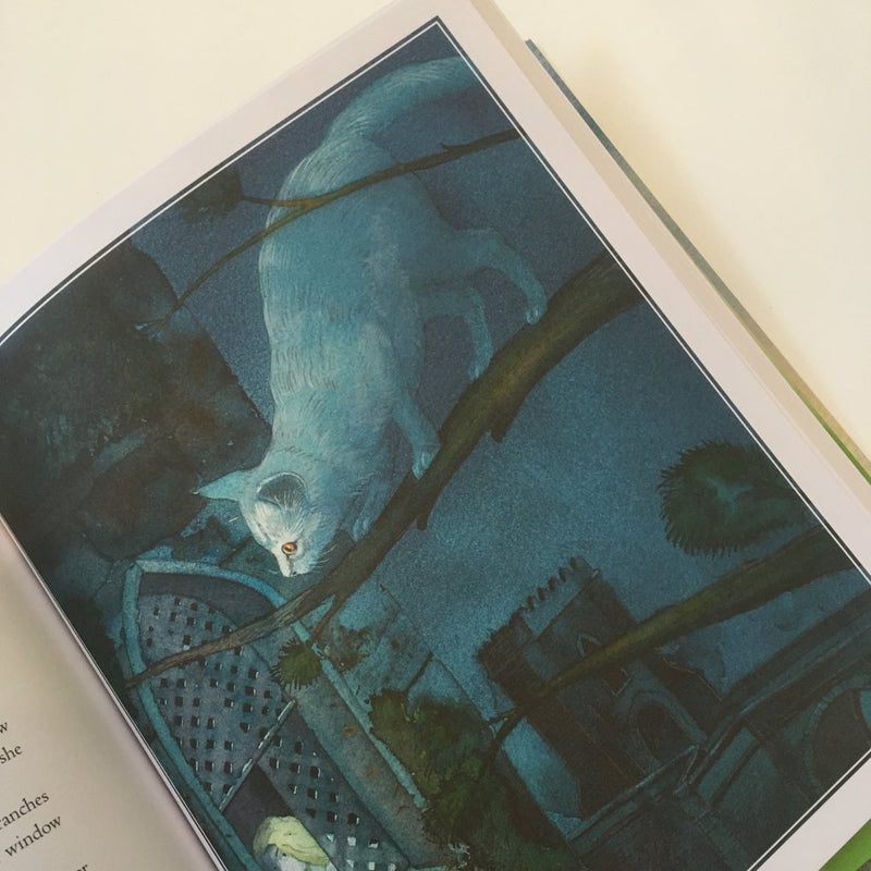 Edna O' Brien: Tales for the Telling, Irish Folk & Fairytales, Illustrated by Michael Foreman (Second - Hand)) - Tales for Tadpoles